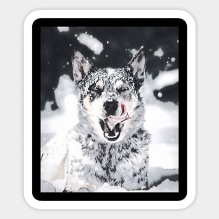 Wolf snow dog Sticker